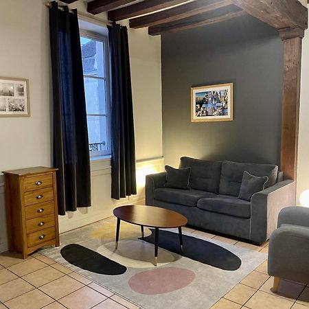 Appartement Le Coche D'Eau Auxerre Les Quais Eksteriør bilde